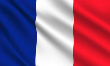 Learn French in just 12 months