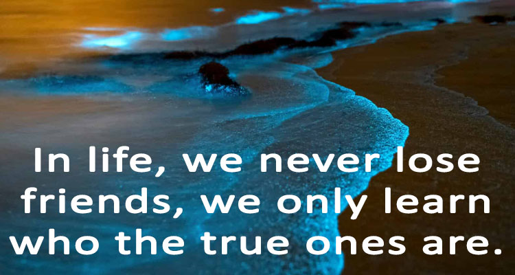 True Friends Dont Waste Your Time